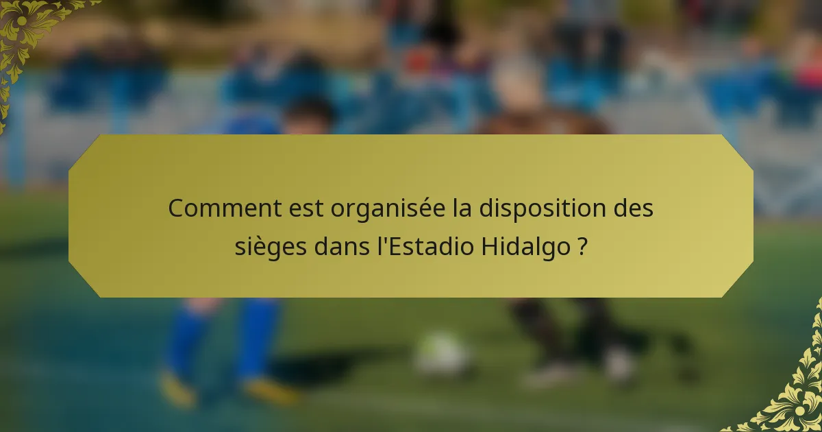 Comment est organisée la disposition des sièges dans l'Estadio Hidalgo ?