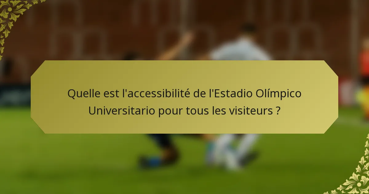 Quelle est l'accessibilité de l'Estadio Olímpico Universitario pour tous les visiteurs ?