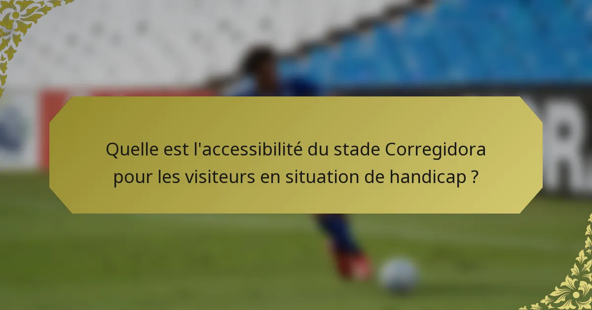 Quelle est l'accessibilité du stade Corregidora pour les visiteurs en situation de handicap ?