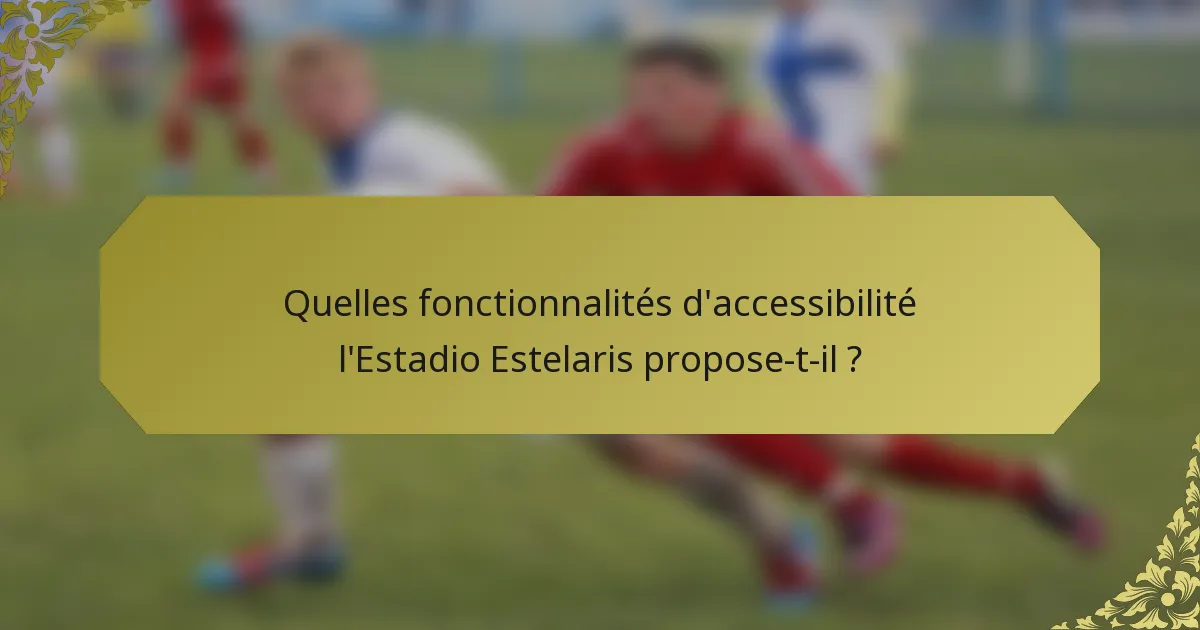Quelles fonctionnalités d'accessibilité l'Estadio Estelaris propose-t-il ?