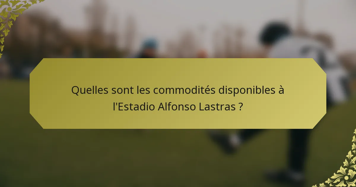 Quelles sont les commodités disponibles à l'Estadio Alfonso Lastras ?