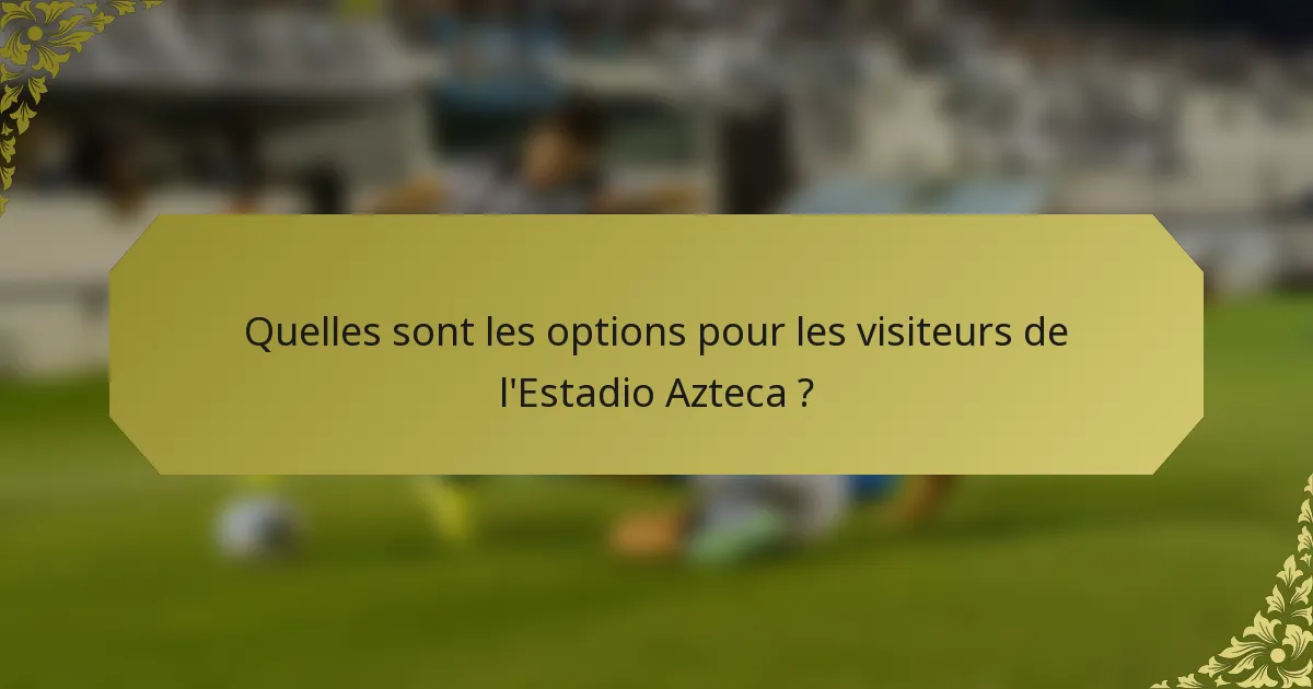 Quelles sont les options pour les visiteurs de l'Estadio Azteca ?